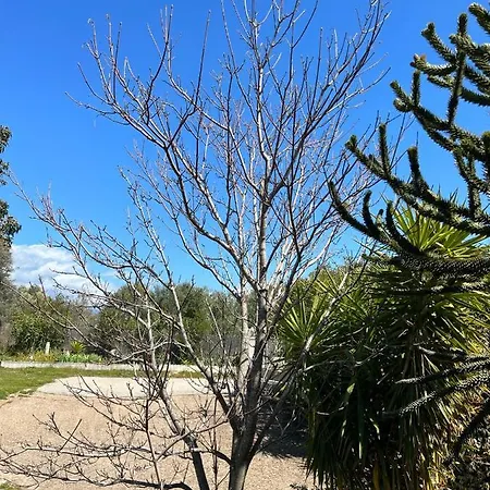 Location Afa/ajaccio 8 Personnes, Au Calme Proche De La Et D'ajaccio Afa